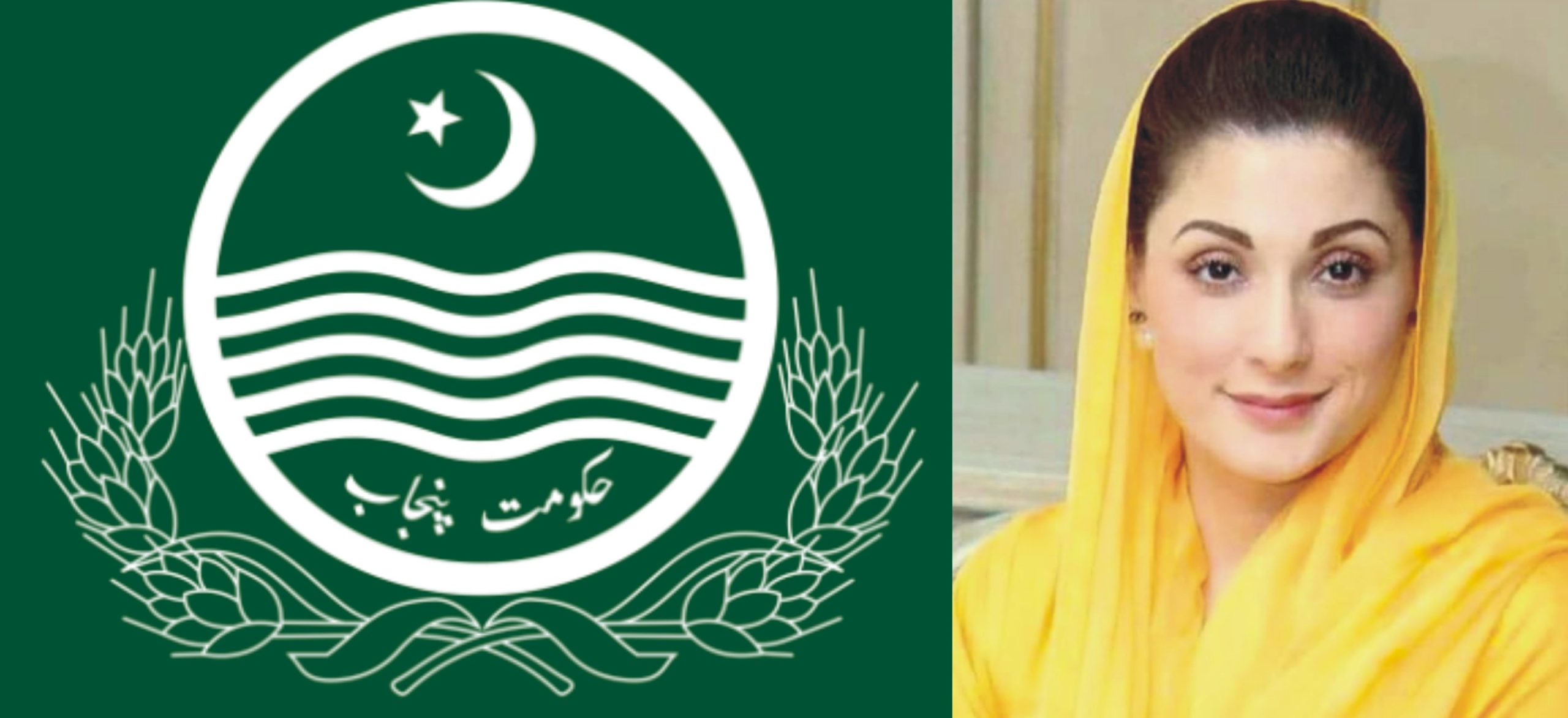 پنجاب حکومت کا ائیر ایمبولینس منصوبہ , ایک ہیلی کاپٹر اور دو ہوائی جہاز خریدنے کا فیصلہ