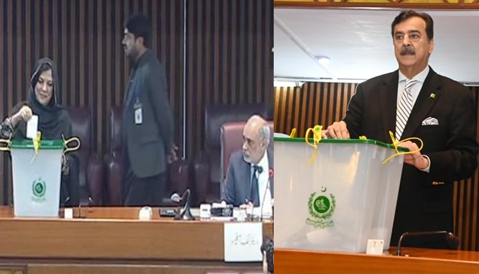 سینیٹ ضمنی انتخاب: پیپلز پارٹی کے4، ن لیگ اور جے یو آئی کا ایک ایک سینیٹر منتخب