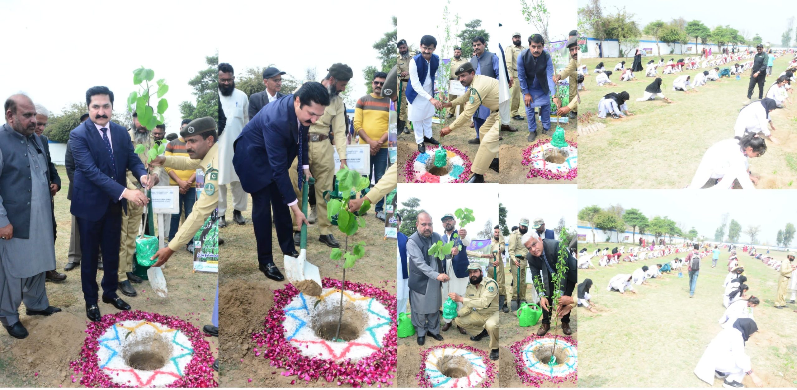 جنگلات کا عالمی دن:گجرات انتظامیہ کے زیر اہتمام شجر کاری کی تقریب