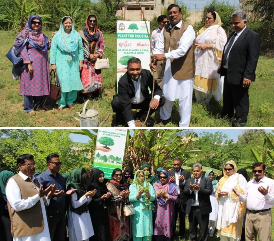 گرین اینڈ کلین پاکستان کے تحت گورنمنٹ پوسٹ گریجویٹ کالج ٹالیانوالہ میں شجرکاری مہم کا آغاز کر دیا گیا
